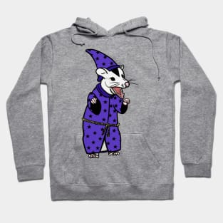 Angry Possum Wizard Hoodie